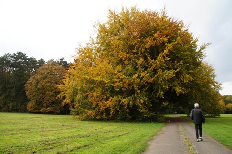 muengersdorf