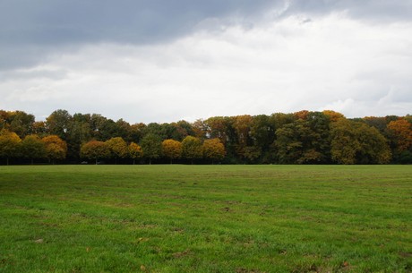 muengersdorf