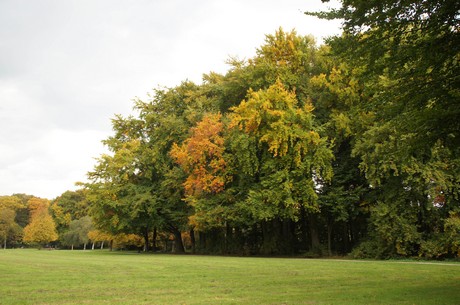muengersdorf