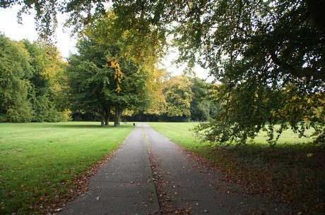 muengersdorf