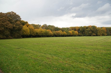 muengersdorf