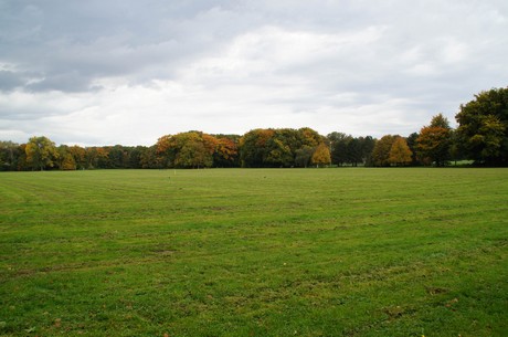 muengersdorf