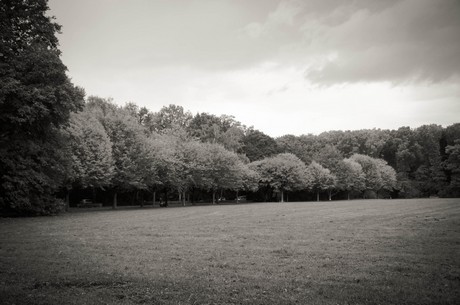 muengersdorf