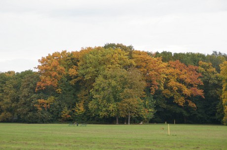 muengersdorf