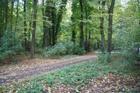 muengersdorf