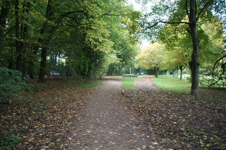 muengersdorf