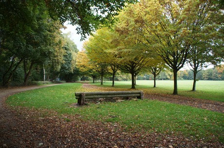 muengersdorf