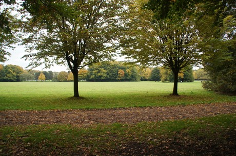 muengersdorf