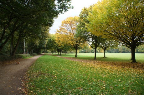 muengersdorf