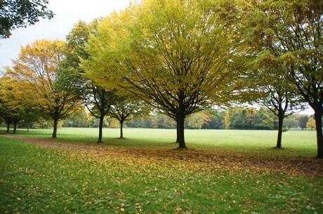 muengersdorf