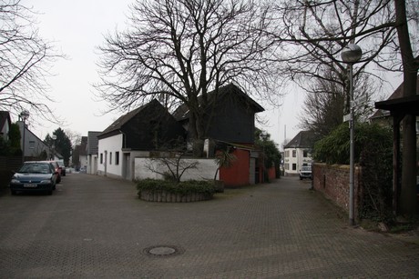 niehl