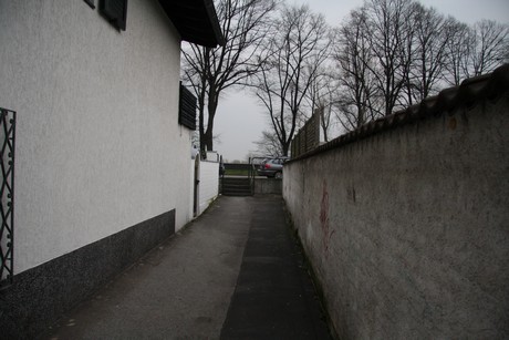 niehl
