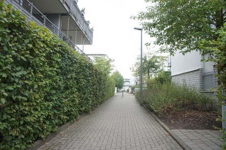 ossendorf