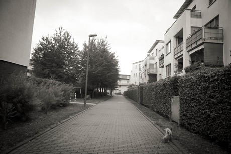 ossendorf