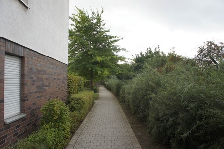 ossendorf