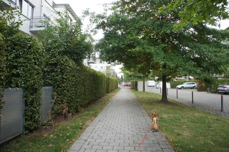 ossendorf
