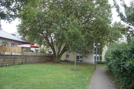 ossendorf