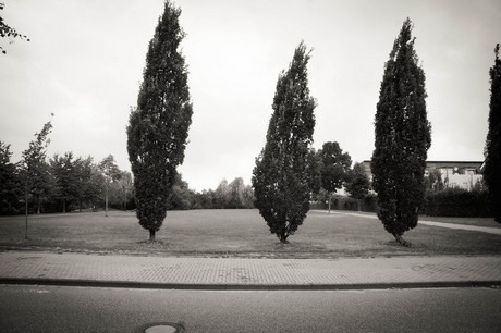ossendorf