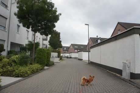 ossendorf