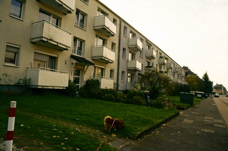 ostheim