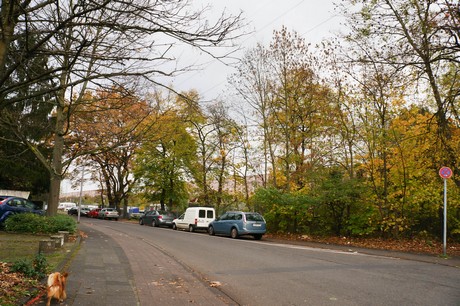 ostheim