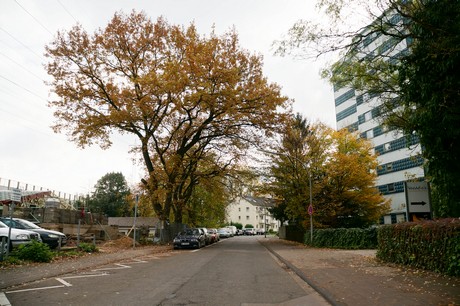 ostheim