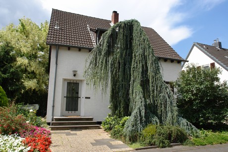 ostheim
