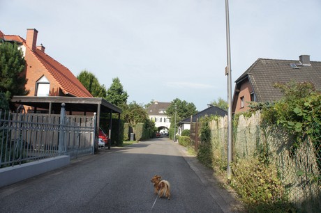 Rath-Heumar