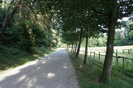 Rath-Heumar