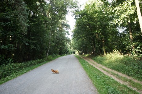 Rath-Heumar