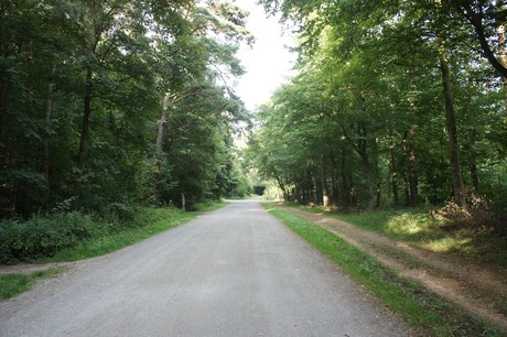 Rath-Heumar