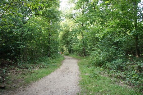 Rath-Heumar