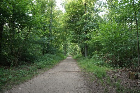 Rath-Heumar