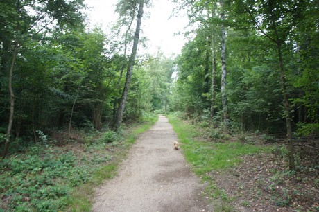 Rath-Heumar