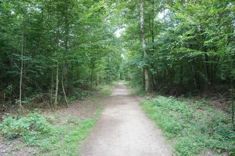 Rath-Heumar