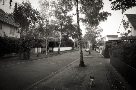 Rath-Heumar