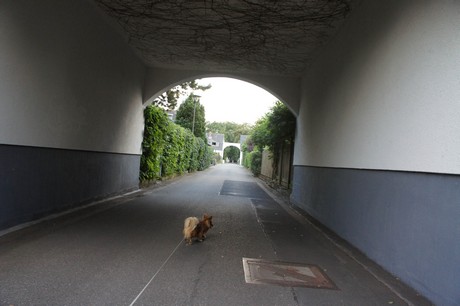 Rath-Heumar