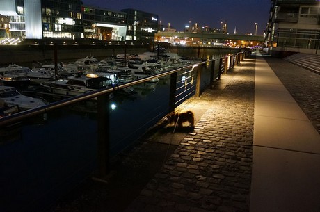 Rheinauhafen