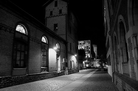 Rheinauhafen
