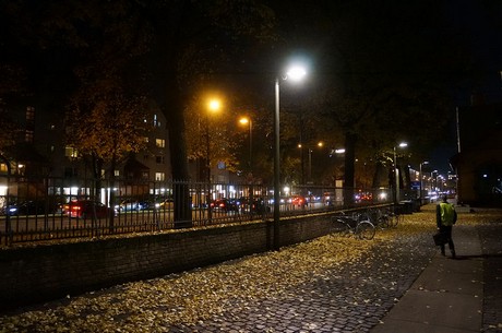 Rheinauhafen