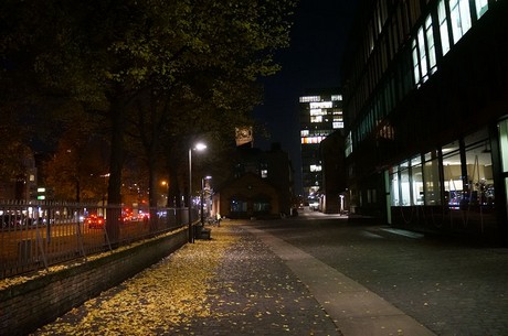 Rheinauhafen