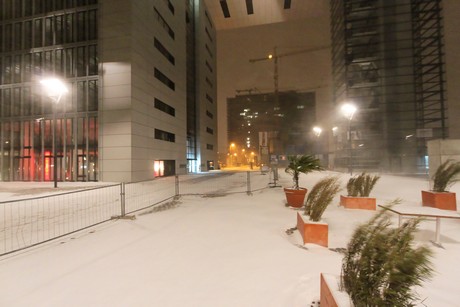 winter