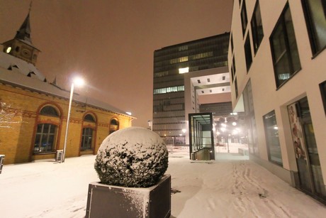 winter