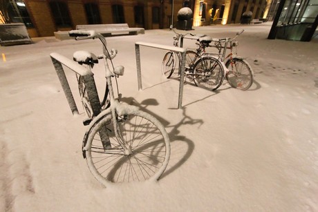 winter