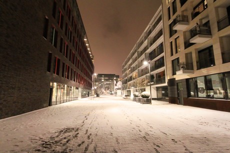 winter