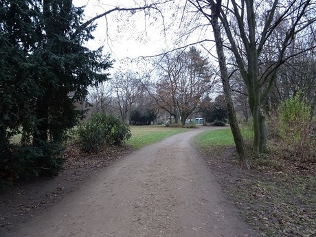riehl