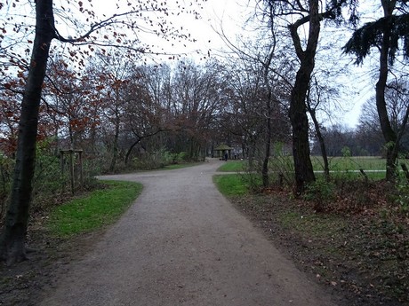 riehl