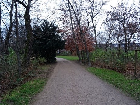 riehl