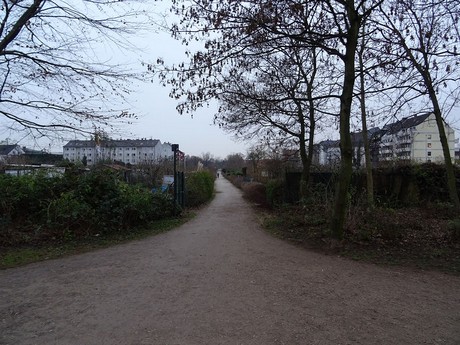 riehl