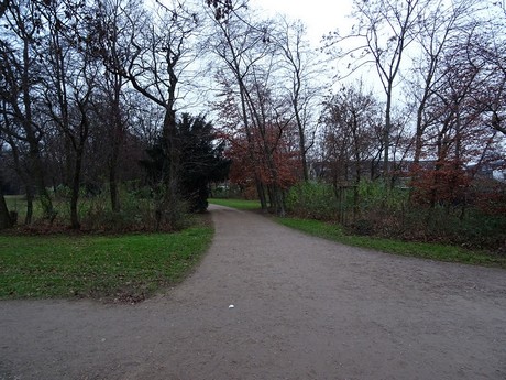 riehl
